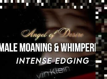 INTENSE EDGING & ORGASM  Male moaning & whimpering ASMR