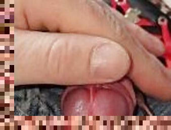 homo, seorang-diri, penis