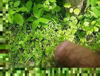 pissing in the great outdoors pov