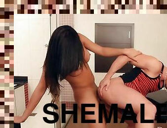 shemale, anal, avsugning, cumshot, hardcore, gay, latinska, avrunkning, transa, brasilien